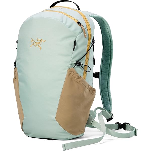 Amazon | [ビームスボーイ] キャンパス・バッグ ARC'TERYX × BEAMS